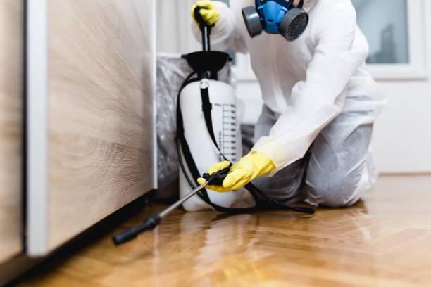 Best Rat Extermination Near Me  in Rainbow City, AL
