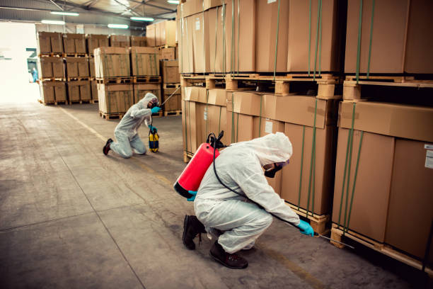 Best Pest Prevention Services  in Rainbow City, AL