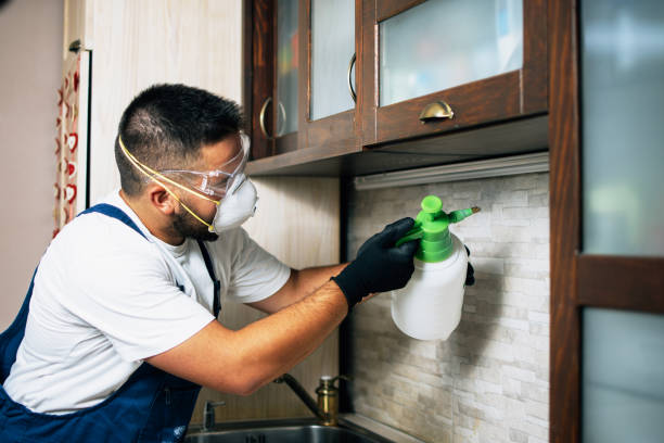 Best Mosquito Control Services  in Rainbow City, AL