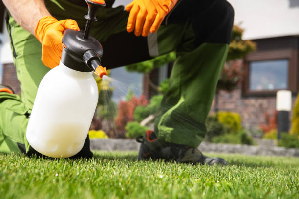Best Pest Inspection Near Me  in Rainbow City, AL