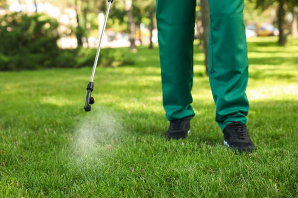 Best Pest Control Near Me  in Rainbow City, AL