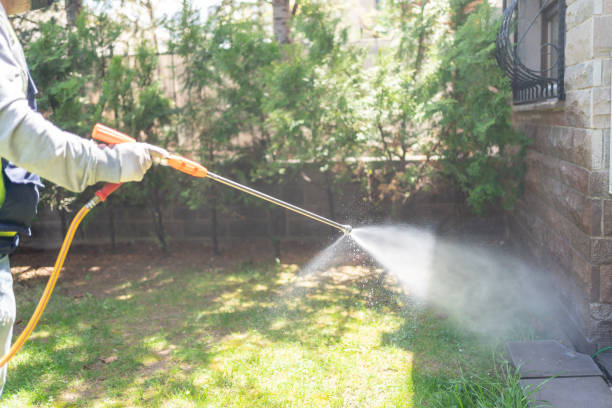 Best Affordable Pest Control Services  in Rainbow City, AL