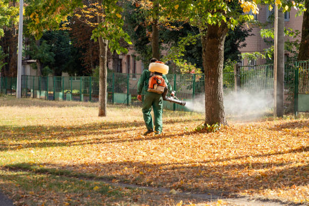 Best Cockroach Control Services  in Rainbow City, AL