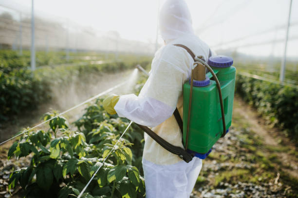 Best Exterminator Services  in Rainbow City, AL